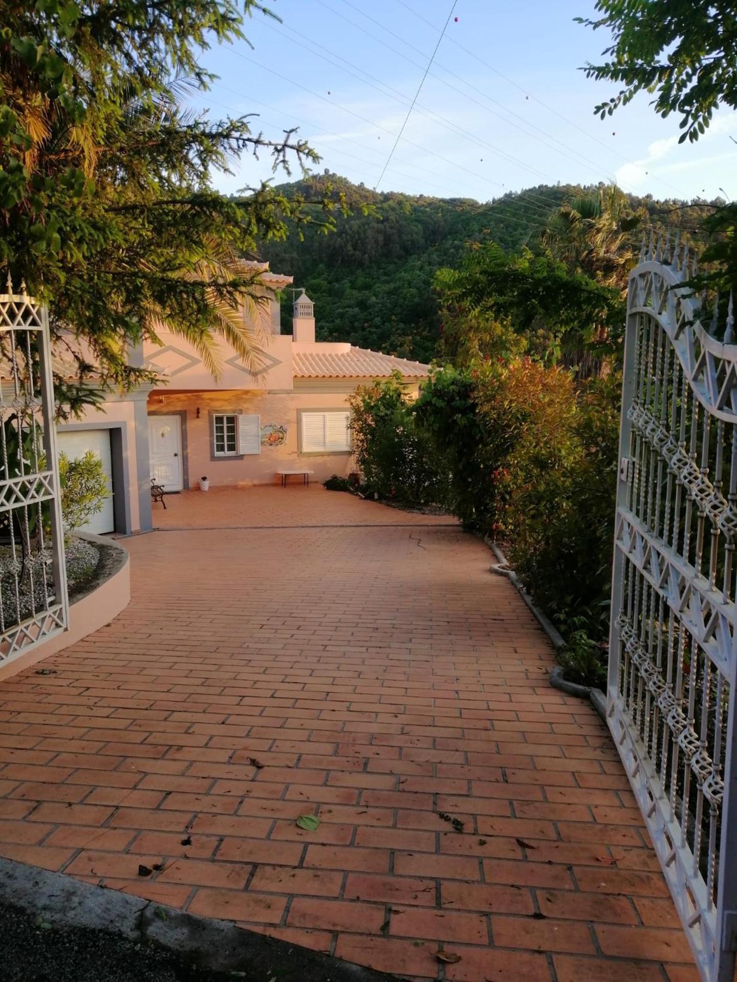 Casa Loureiro - Vista Rio Douro Villa Resende Eksteriør billede