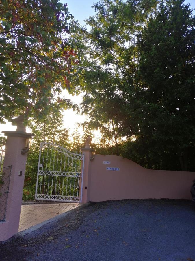 Casa Loureiro - Vista Rio Douro Villa Resende Eksteriør billede