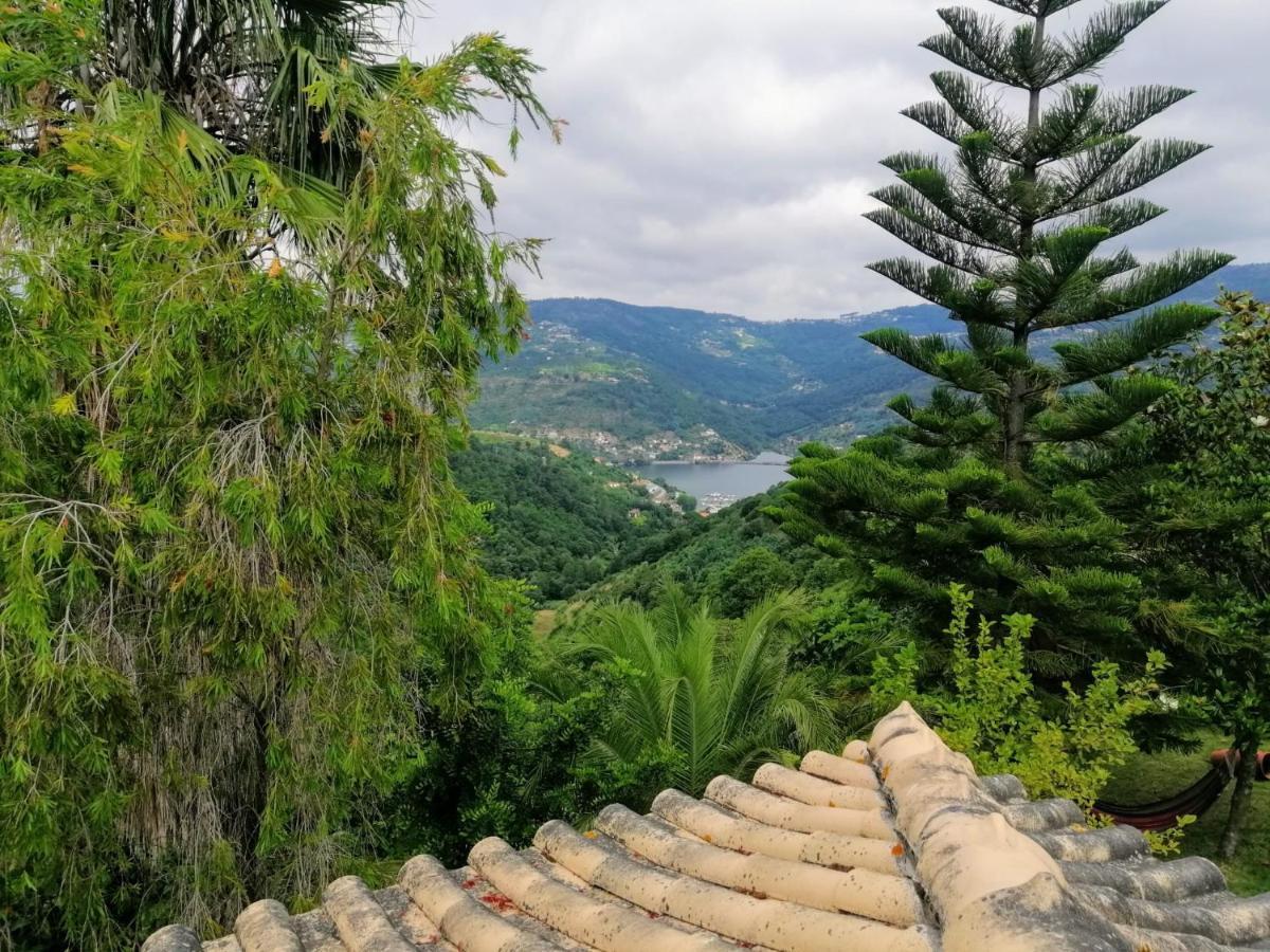 Casa Loureiro - Vista Rio Douro Villa Resende Eksteriør billede