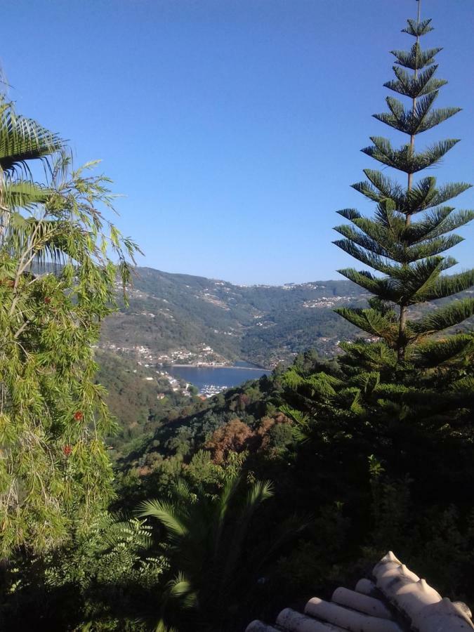 Casa Loureiro - Vista Rio Douro Villa Resende Eksteriør billede